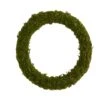 20" Green Moss Wreath -Michaels D386408S 1