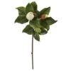 White Magnolia Stem, 4ct. -Michaels D386484S 11