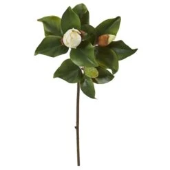 White Magnolia Stem, 4ct.
