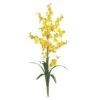 Dancing Lady Orchid Stem, 12ct. Yellow -Michaels D386488S 11