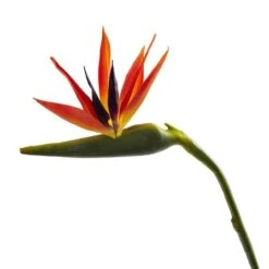Large Artificial Bird Of Paradise Stem, 4ct. -Michaels D386496S 2
