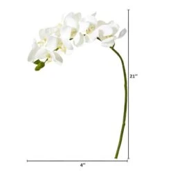 Moth Orchid Stem, 6ct. White 7 Moth Orchid Stem, 6ct. White -Michaels D386498S 2