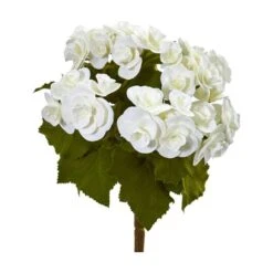 White Begonia Flower Bush, 4ct.
