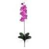 Pink Moth Orchid Stem, 12ct. -Michaels D386520S 1