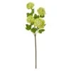 Green Snowball Hydrangea Stem, 3ct. 1 Green Snowball Hydrangea Stem, 3ct. -Michaels D386540S 11