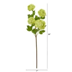 Green Snowball Hydrangea Stem, 3ct. -Michaels D386540S 12
