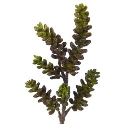 Green Succulent Stem, 12ct. -Michaels D386558S 3