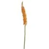 Orange Fox Tail Flower Stems, 3ct. 1 Orange Fox Tail Flower Stems, 3ct. -Michaels D386580S 1