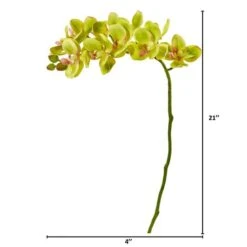 Moth Orchid Stem, 6ct. Green -Michaels D386582S 2