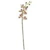 Moth Orchid Artificial Flower, 4ct. -Michaels D386594S 1