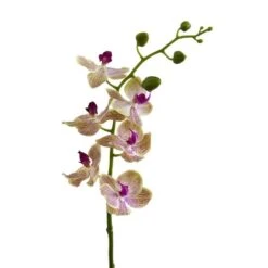 Moth Orchid Artificial Flower, 4ct. -Michaels D386594S 2