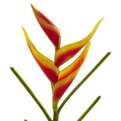 Heliconia Artificial Flower, 4ct. -Michaels D386609S 3