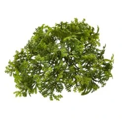 Green Moss Bush, 12ct.