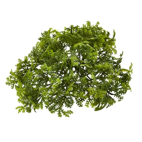 Green Moss Bush, 12ct. 3 Green Moss Bush, 12ct.