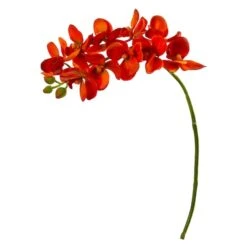 Moth Orchid Stem, 6ct. Orange