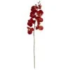 Red Autumn Moth Orchid Flower Stems, 6ct. -Michaels D386619S 1