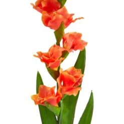 Salmon Gladiolus Flower Stems, 3ct. -Michaels D386629S 3