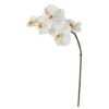 20" Phalaenopsis Orchid Artificial Flower (Set Of 12) -Michaels D386636S 11