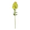 Green Peegee Hydrangea Flower Stem, 2ct. -Michaels D386653S 1