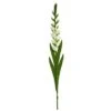 White Gladiolus Flower Stems, 3ct. -Michaels D386657S 1