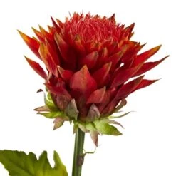 33" Tropical Artificial Flower (Set Of 6) -Michaels D386665S 2