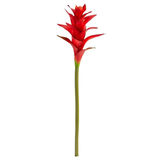 Star Bromeliad Stem, 6ct. Multi 4 Star Bromeliad Stem, 6ct. Multi - Image 2