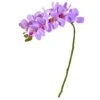 Moth Orchid Stem, 6ct. Purple -Michaels D386711S 1