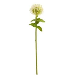Pincushion Artificial Flower Stem, 6ct. White -Michaels D386748S 1 1