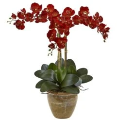 27'' Autumn Triple Stem Moth Orchid In Ceramic Vase