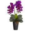 23" Double Orchid Arrangement In Vase Assorted -Michaels D386868S 1