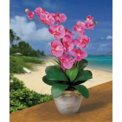 2ft. Double Moth Orchid Silk Flower Arrangement Dark Pink -Michaels D386886S 2