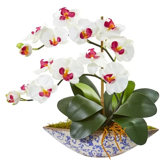16" Moth Orchid Arrangement In Blue Floral Vase White 3 16" Moth Orchid Arrangement In Blue Floral Vase White