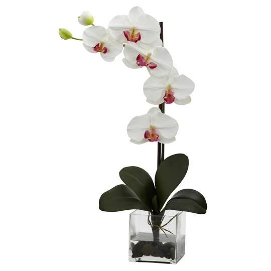 Giant Phalaenopsis Orchid With Vase Arrangement 4 Giant Phalaenopsis Orchid With Vase Arrangement - Image 2
