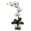 Giant Phalaenopsis Orchid With Vase Arrangement -Michaels D386889S 1