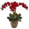 27'' Red Triple Stem Moth Orchid In Ceramic Pot