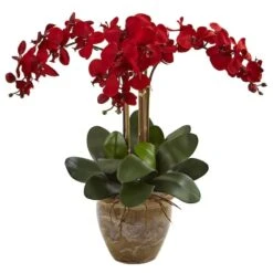 27'' Red Triple Stem Moth Orchid In Ceramic Pot