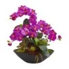 21" Moth Orchid & Mixed Succulent Garden Arrangement In Black Vase Purple 1 21" Moth Orchid & Mixed Succulent Garden Arrangement In Black Vase Purple -Michaels D386902S 1