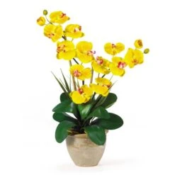 2ft. Double Moth Orchid Silk Flower Arrangement Yellow -Michaels D386914S 1 1