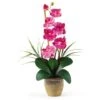 21" Moth Orchid Flower Arrangement In Ceramic Pot Dark Pink -Michaels D386922S 1
