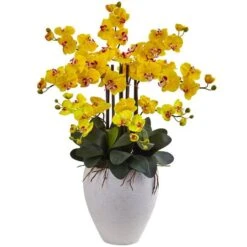 3ft. Moth Orchid Arrangement In White Planter Yellow