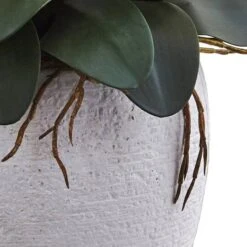 3ft. Moth Orchid Arrangement In White Planter Yellow -Michaels D386942S 13