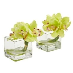 8" Boat Orchid Arrangement In Glass Vase, 2ct. Green