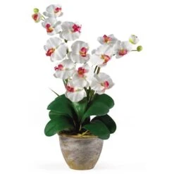 2ft. Double Moth Orchid Silk Flower Arrangement White -Michaels D387008S 1 1