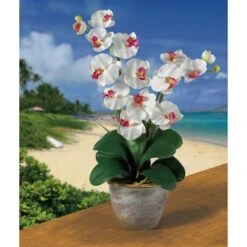 2ft. Double Moth Orchid Silk Flower Arrangement White -Michaels D387008S 2