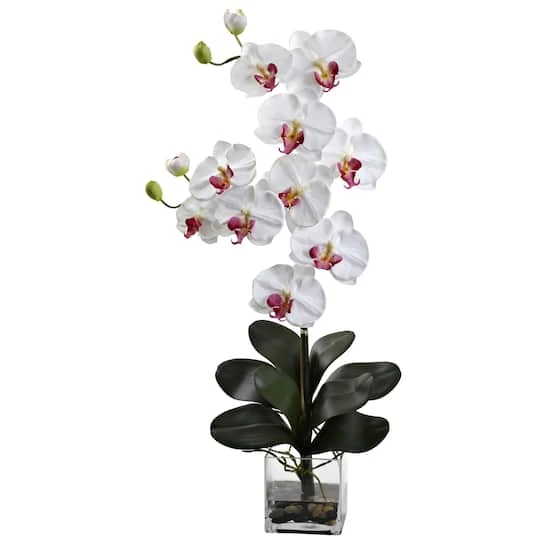 Double Giant Phalaenopsis With Vase 4 Double Giant Phalaenopsis With Vase - Image 2