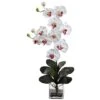Double Giant Phalaenopsis With Vase -Michaels D387070S 1