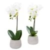 Phalaenopsis Orchid Artificial Arrangement (Set Of 2) -Michaels D387082S 11