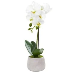 Phalaenopsis Orchid Artificial Arrangement (Set Of 2) -Michaels D387082S 12