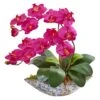 16" Moth Orchid Arrangement In Blue Floral Vase Beauty 2 16" Moth Orchid Arrangement In Blue Floral Vase Beauty -Michaels D387106S 1