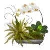 20" Phalaenopsis Orchid & Fern Arrangement In Metal Tray Cream -Michaels D387634S 1